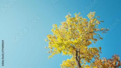 Tree Top With Green Leaves And Black Metal Light Pole. Beautiful simple AI generated image in 4K  unique.