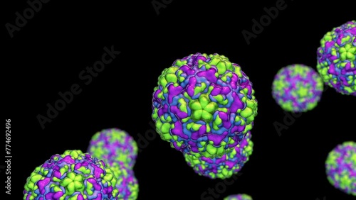 Animation showing rhinoviruses, the viruses that cause rhinitis and common cold photo