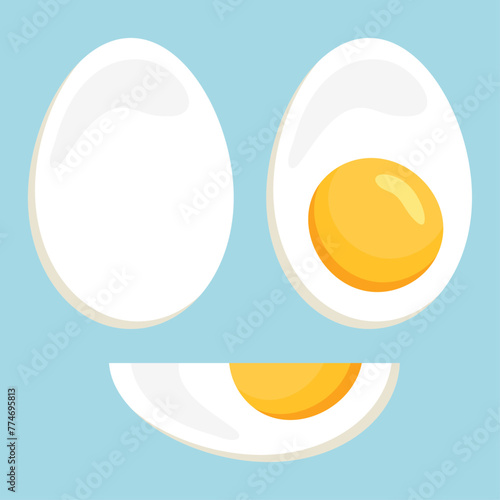 Boiled egg in section. Vector illustration