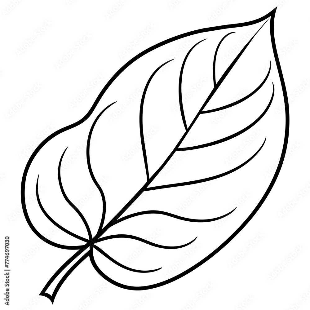 black and white green leaf
black and white green leaf
