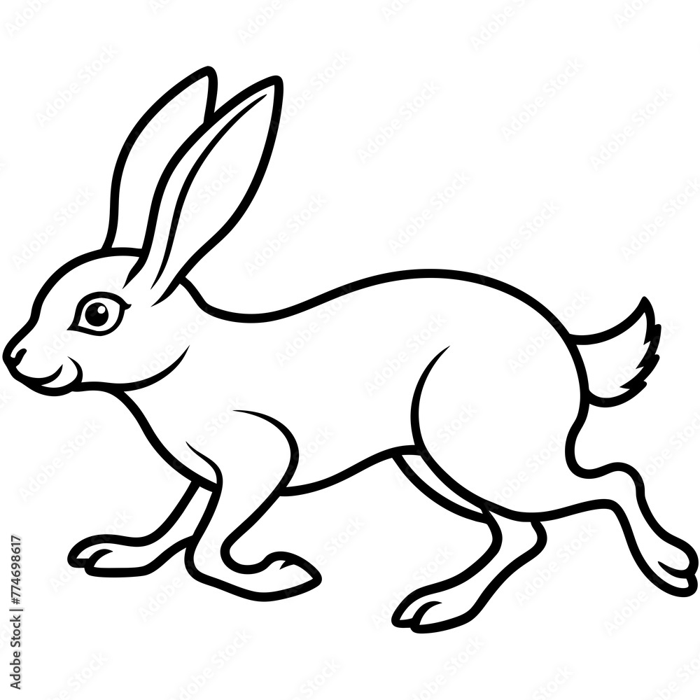 rabbit and carrot rabbit and carrot