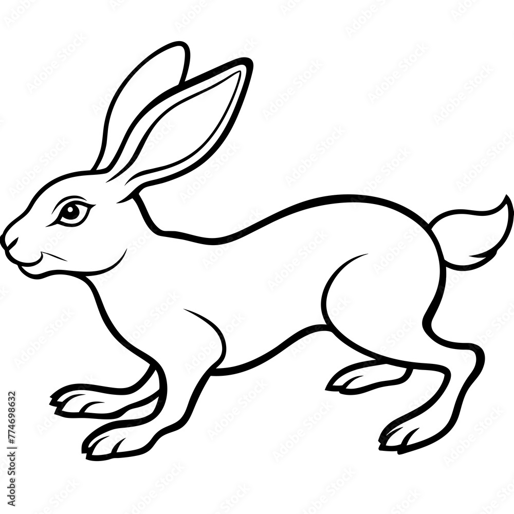 rabbit and carrot rabbit and carrot