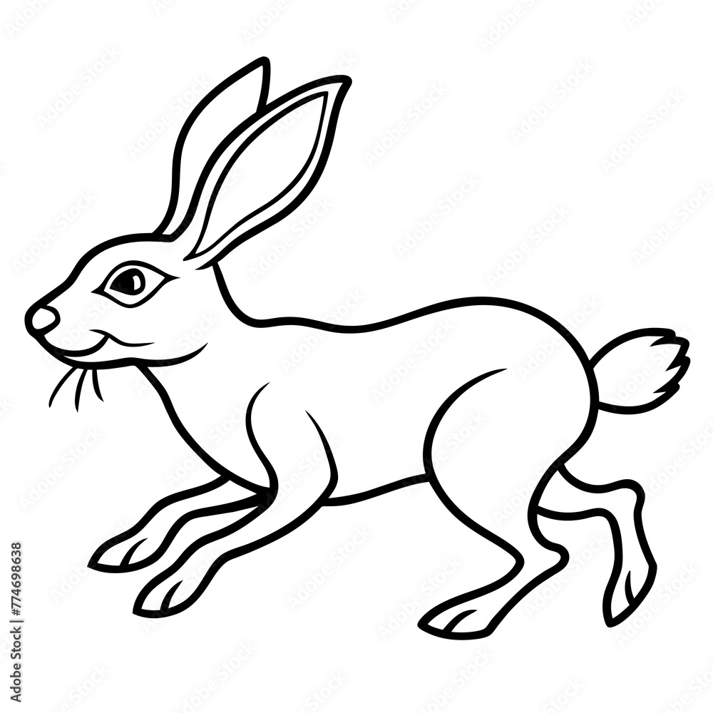 rabbit and carrot rabbit and carrot
