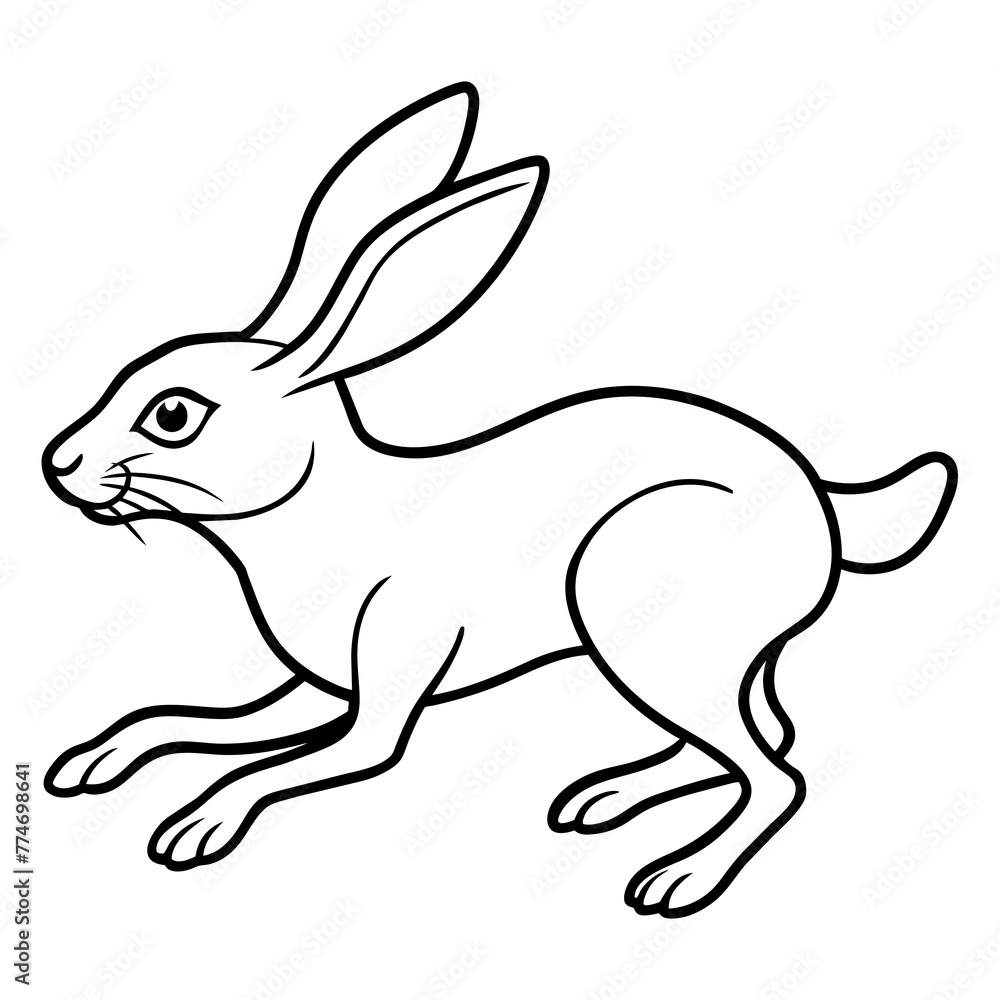 Obraz premium rabbit and carrot