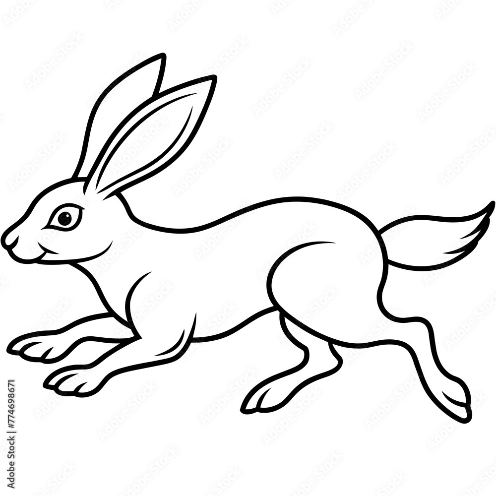 Obraz premium rabbit and carrot