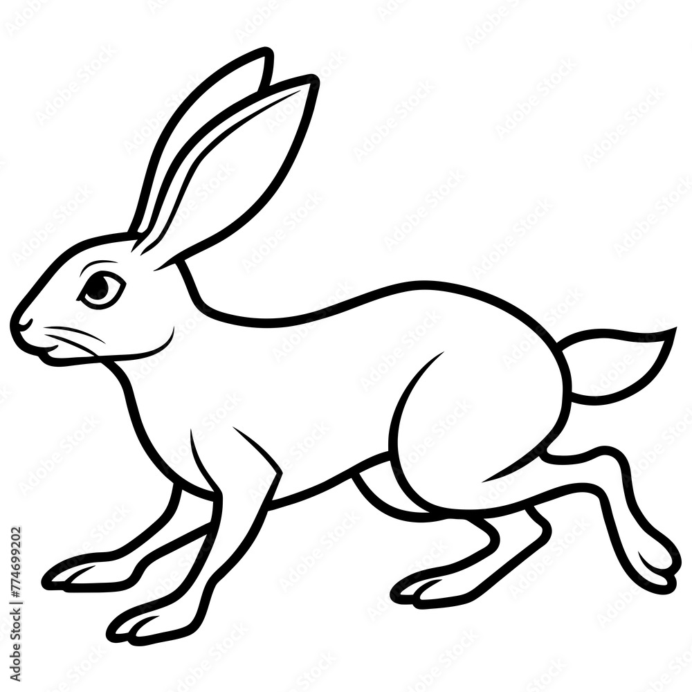 rabbit and carrot rabbit and carrot