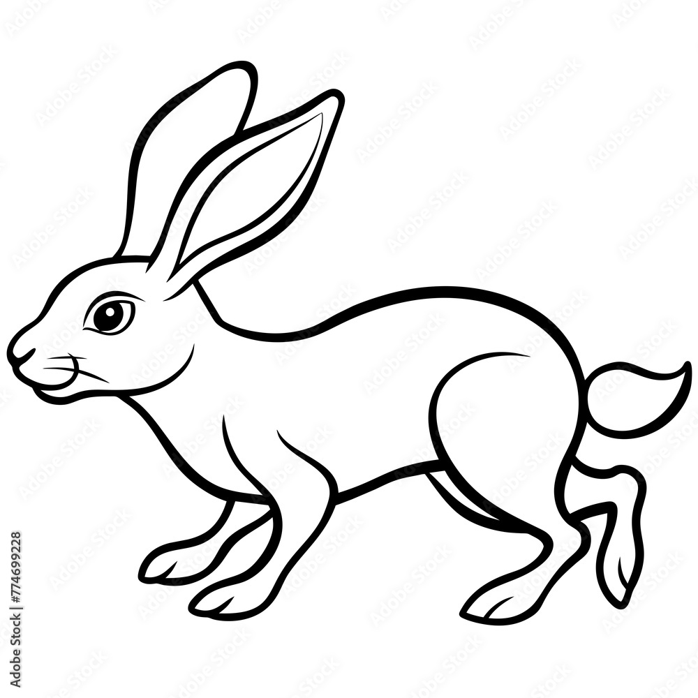 Fototapeta premium rabbit and carrot