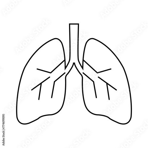 Vector icon of lungs on a white background. A simple drawing of lungs on a white background. Vector illustration eps 10