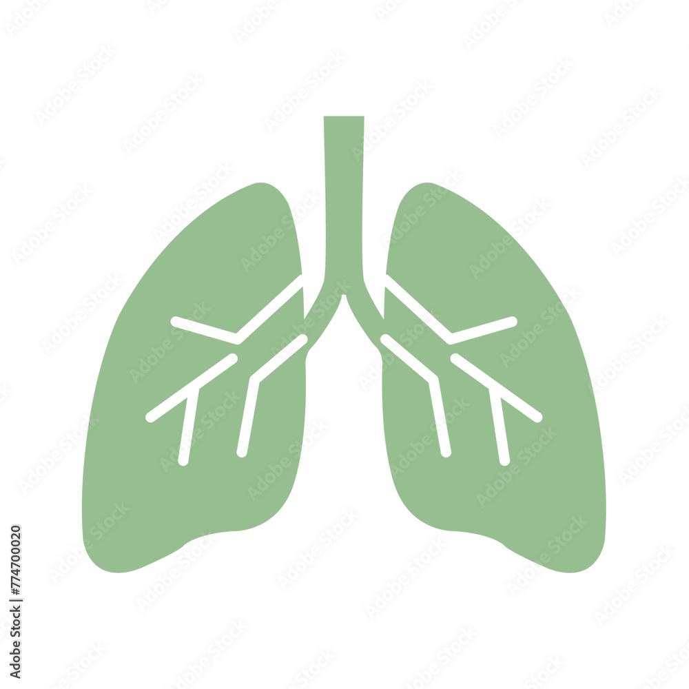Vector icon of lungs on a white background. The vector icon of the lungs is green. Take care of your health. Flat vector design. Graphic illustration of eps 10 Vector icon of lungs on a white background. The vector icon of the lungs is green. Take care of your health. Flat vector design. Graphic illustration of eps 10