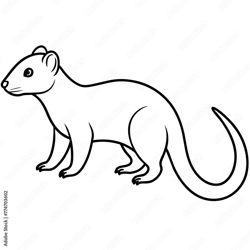 illustration of a mongoose eith vecor art