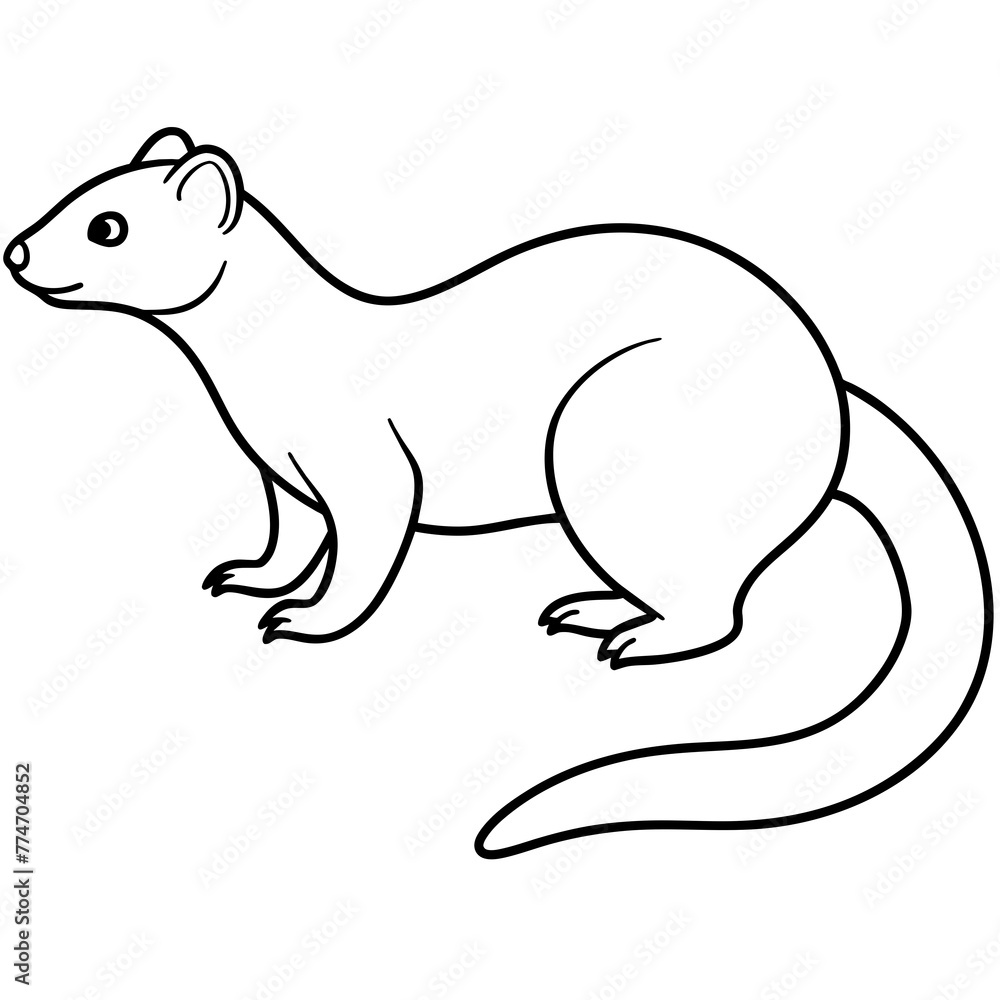 illustration of a mongoose with vector art illustration of a mongoose with vector art