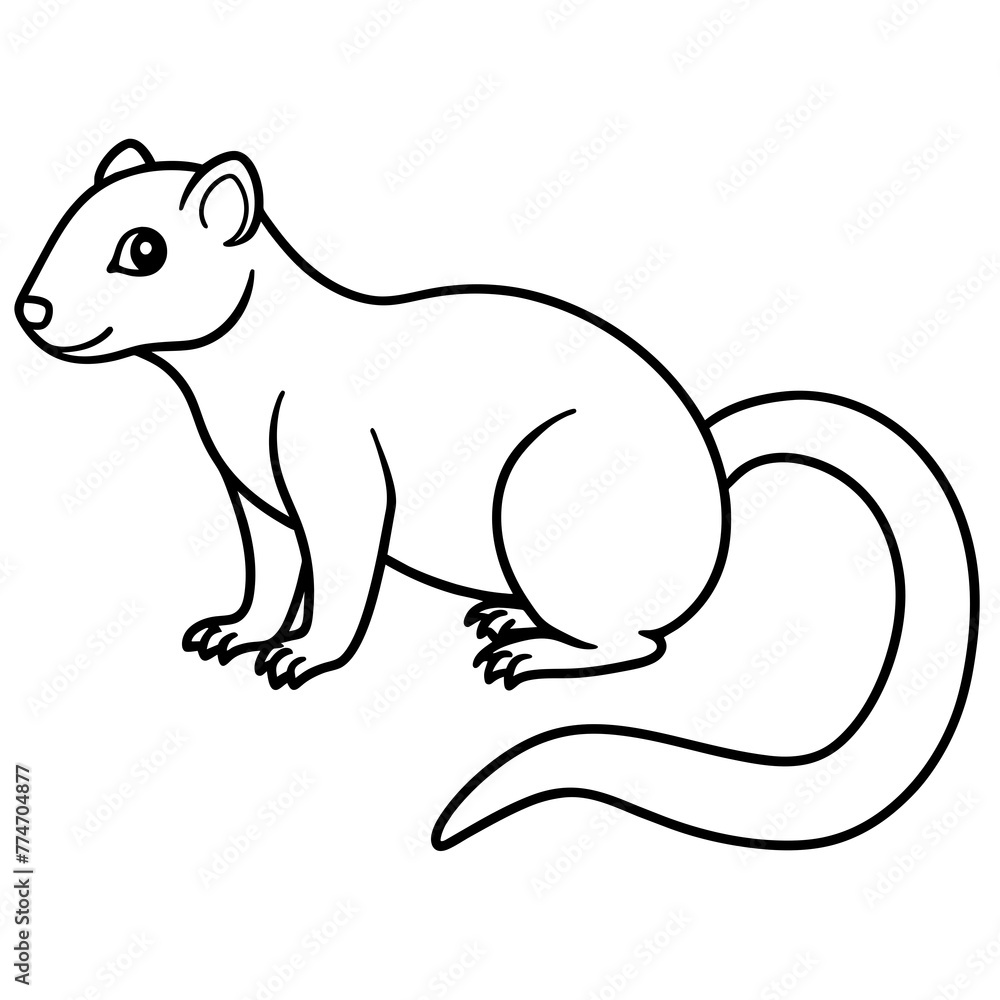 illustration of a mongoose with vector art illustration of a mongoose with vector art