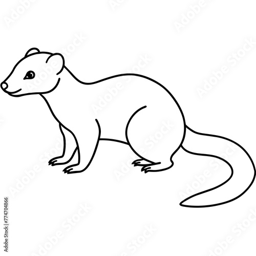 illustration of a mongoose with vector art