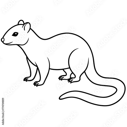 illustration of a mongoose with vector art