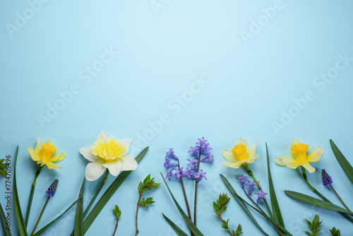 Beautiful bouquet of fresh daffodils and small flowers on a blue background. Simple holiday spring greeting card  invitation card. Top view  flat lay. Space for text. Floral banner.