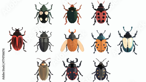 The basic beetles vector on white background flat vector