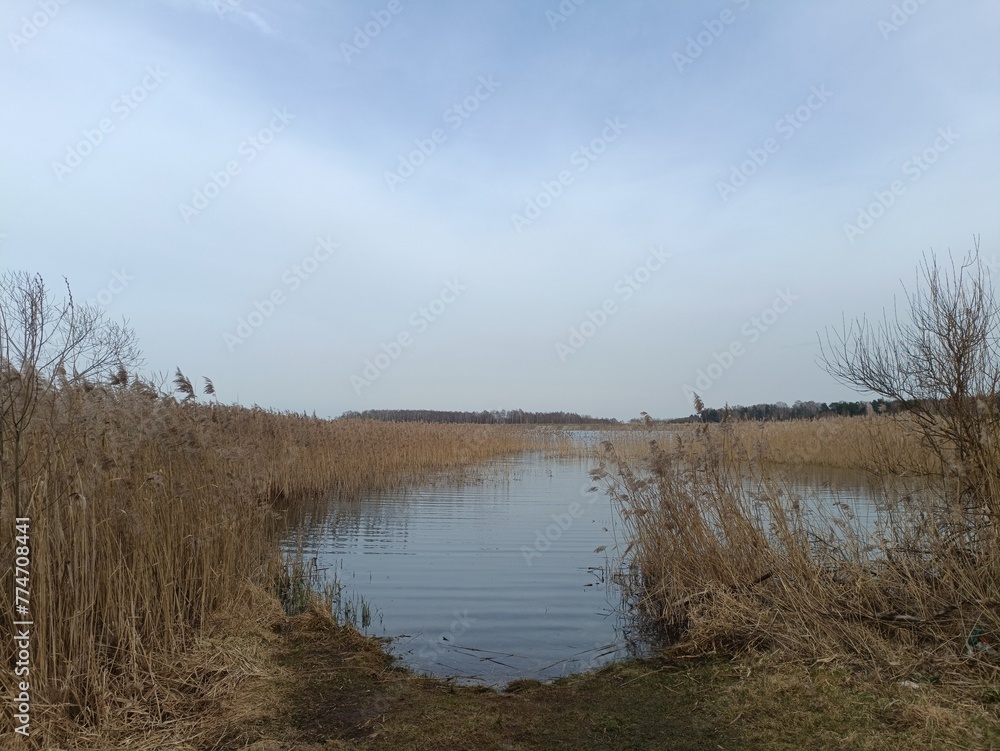 Gudeliai lake and lakeshore during sunny day. Lake with small waves. Lake shore with grass and reeds growing on it. Sunny day with white and gray clouds in blue sky. Nature. Gudeliu ezeras. Gudeliai lake and lakeshore during sunny day. Lake with small waves. Lake shore with grass and reeds growing on it. Sunny day with white and gray clouds in blue sky. Nature. Gudeliu ezeras.