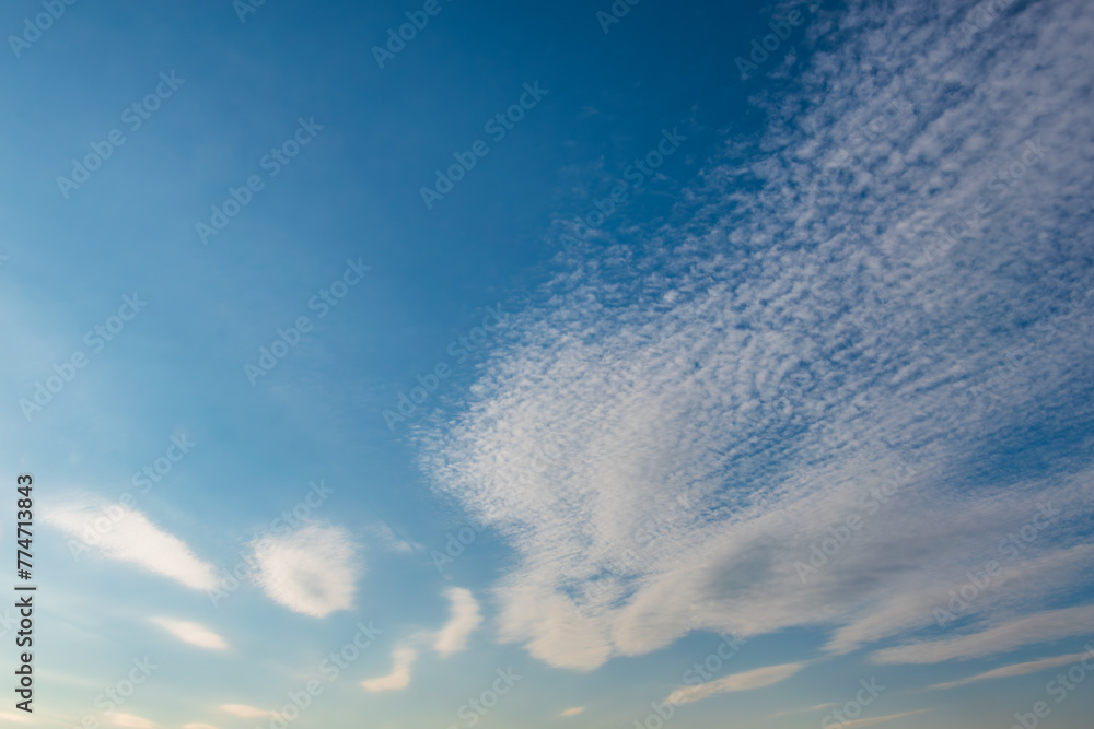 Fototapeta premium 怪獣みたいな雲