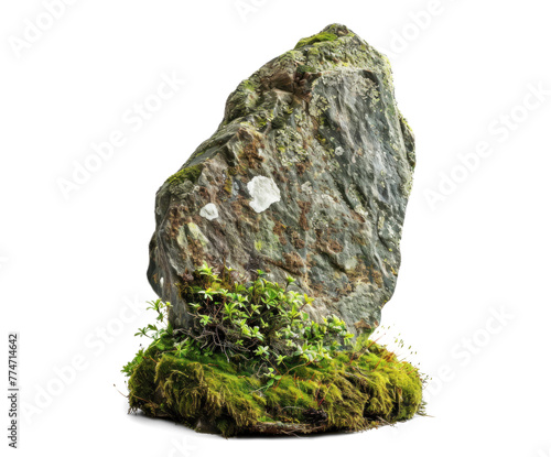 Mossy Rock Stone on Transparent Background