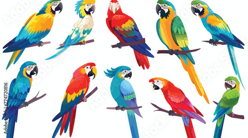 Cartoon macaw collection set Flat vector