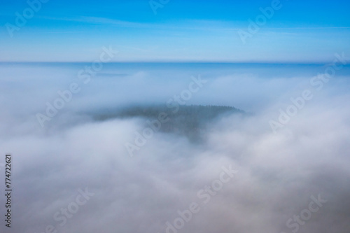 Amazing aerial forest landscape over fog. Poland photo