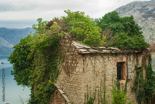 Old house with bushes and grass on the roof. Mountain village Stoliv Montenegro photo