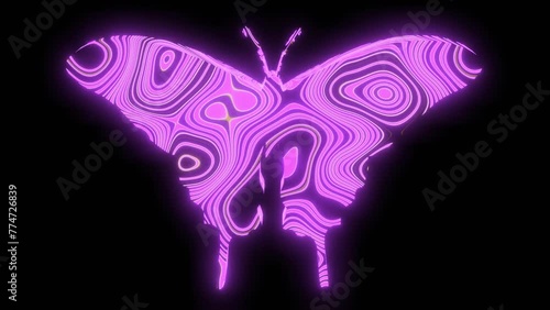 4K video animation of beautiful pink texture or pattern formation on the butterfly body shape, isolated on black background. 3d rendering abstract loop animation neon lighting effect on a butterfly.	