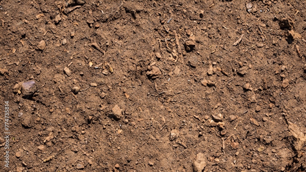 Dirt soil ground land texture background wallpaper Dirt soil ground land texture background wallpaper