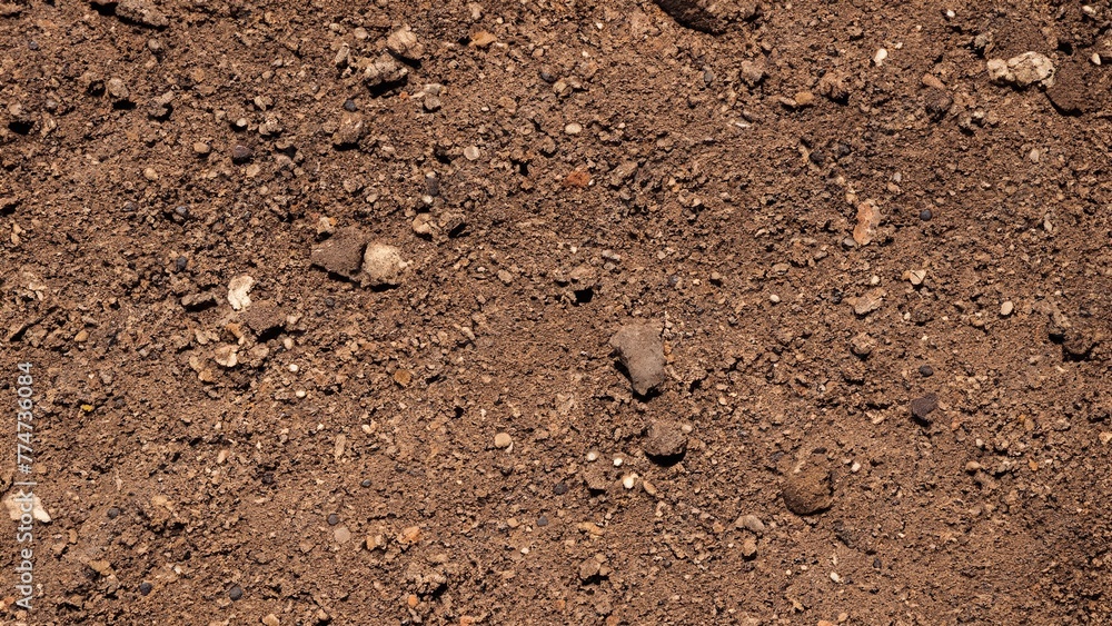 Dirt soil ground land texture background wallpaper Dirt soil ground land texture background wallpaper