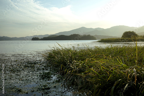 강가의 풍경입니다