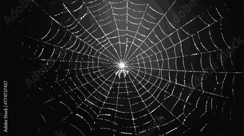 Creepy white spider web on black background Flat vector