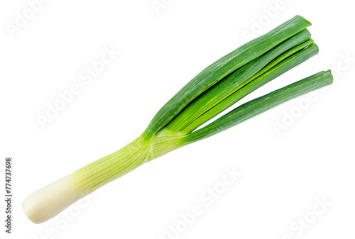 fresh green spring onion isolated on a transparent background, textured graphic element