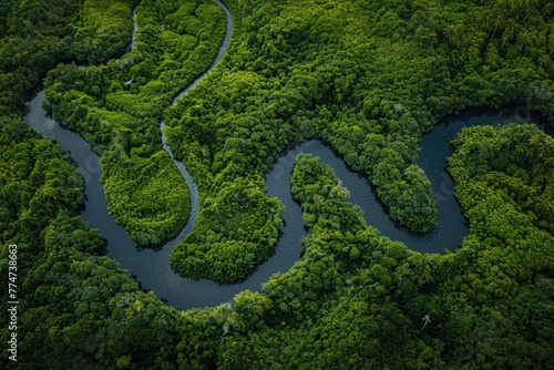 Aerial view of the river flowing through the forest. Beautiful nature landscape