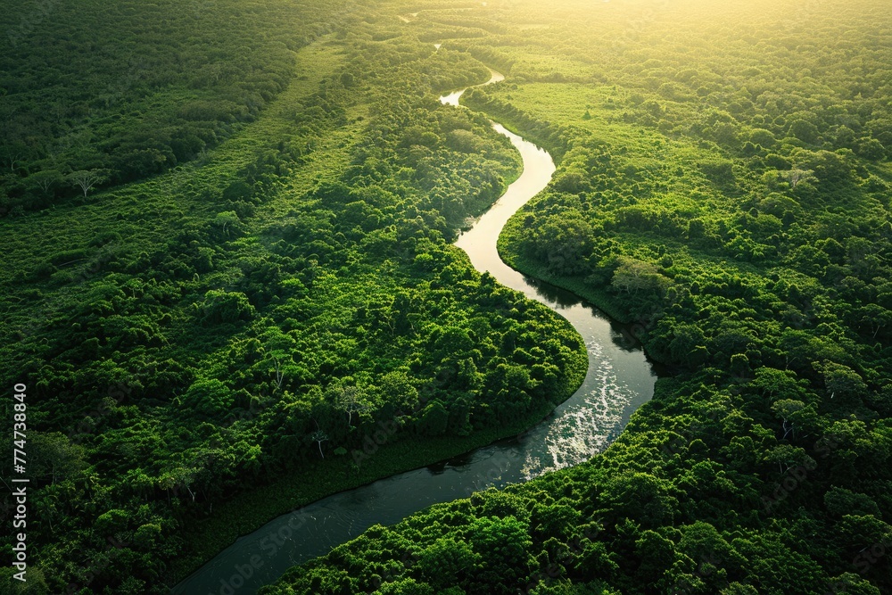 Aerial view of the river flowing through the forest. Beautiful nature landscape Aerial view of the river flowing through the forest. Beautiful nature landscape
