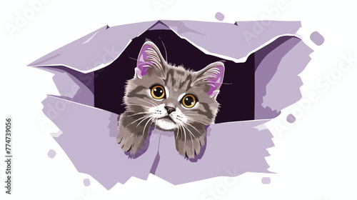 Cute grey cat peeking out hole in purple paper 