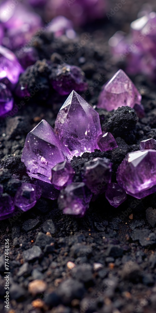 amethyst crystals on black tar soil macro view amethyst crystals on black tar soil macro view