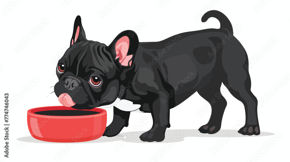 French bulldog eating from bowl Flat vector isolated