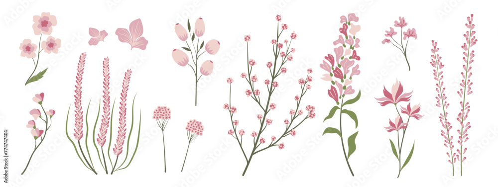 Collection of floral and botanical elements. Set of leaf, foliage wildflowers, plants, bloom, leaves and herb. Hand drawn of blossom spring season vectors for decor, website, wedding card and shop. - obrazy, fototapety, plakaty 