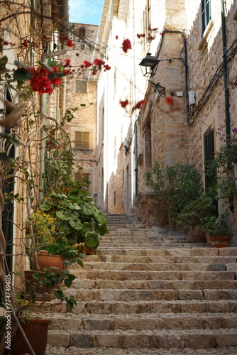 Gasse in Fornalutx  Mallorca