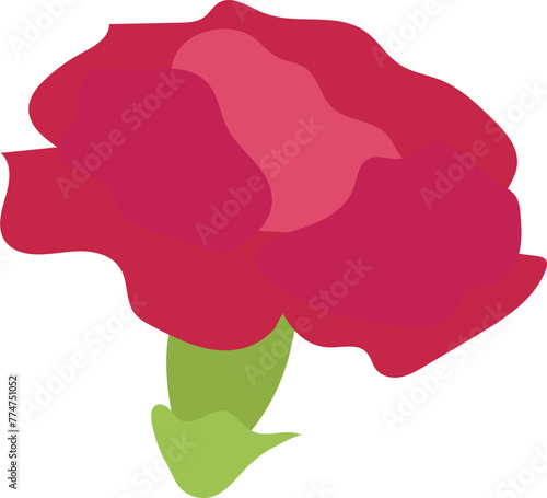 Cute blooming carnation flower for Mother's Day design element object.