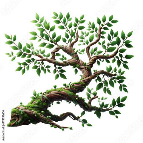 Bonsai green tree isolated in transparent background. 