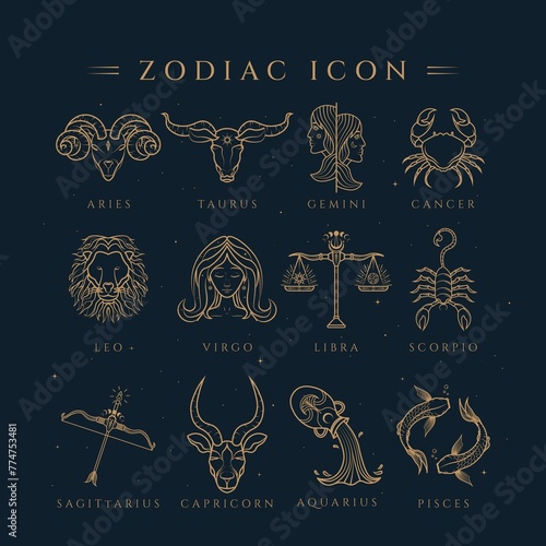Zodiac Icons Symbol Illustration