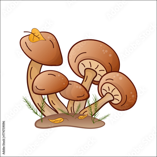 honey mushrooms vector color illustration isolated. Hand drawn armillaria melea in cartoon. Design element for theme forest mushrooms, menu, forest, ingredients, recipes, organic products, etc.