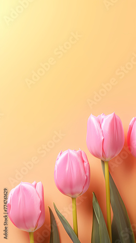 Tulip flowers and place for text