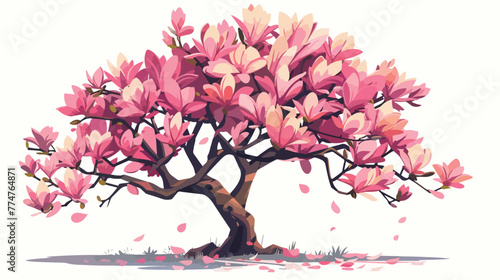 Pink magnolia soulangeana tree in bloom during spring photo
