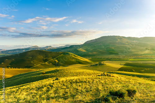beautiful landscape in a yellow golden field in autumn or summer evening with nice rustic view of hills in countryside © Yaroslav