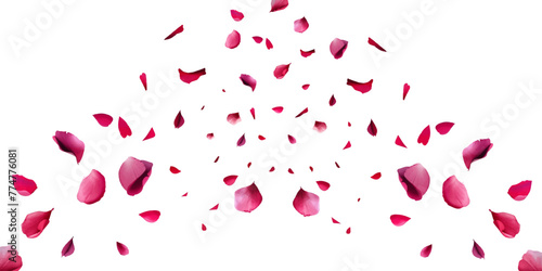 Watercolor red rose petals falling on white background.
