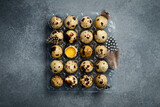 Plastic tray with quail eggs. Quail feathers. On a gray stone background. Top view.