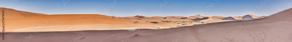 Panoramic picture of the red dunes of the Namib Desert with footprints in the sand against blue sky