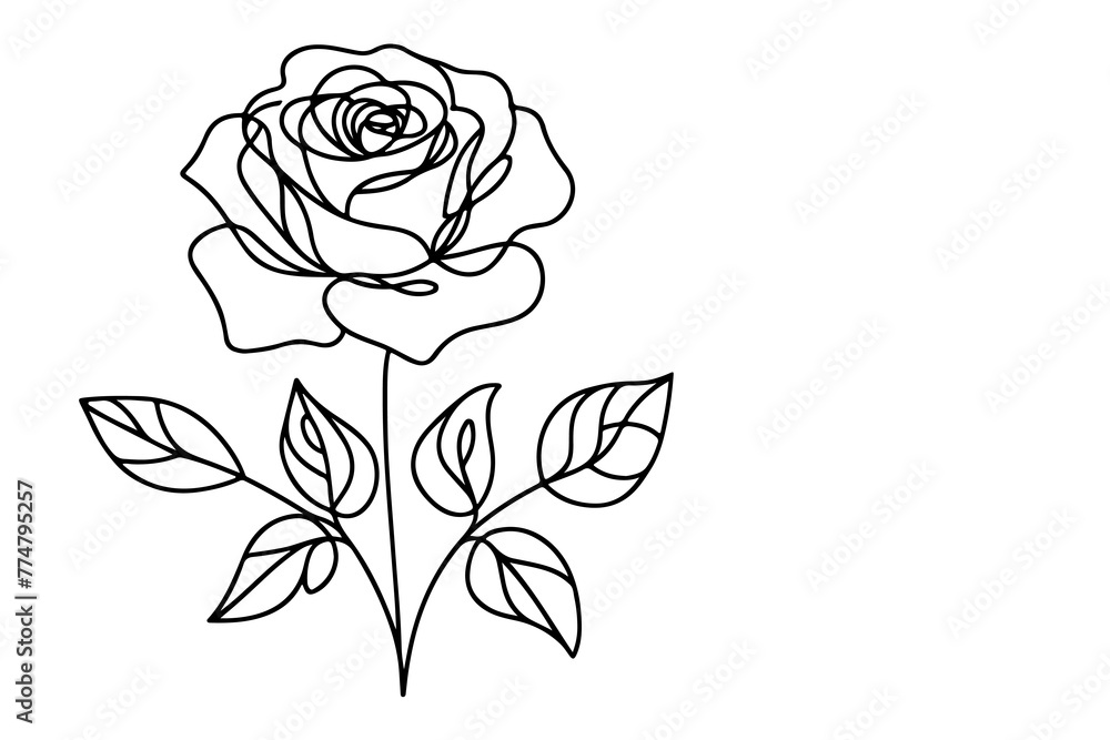 Continuous one black line art drawing beautiful rose outline doodle coloring vector illustration on white background Continuous one black line art drawing beautiful rose outline doodle coloring vector illustration on white background